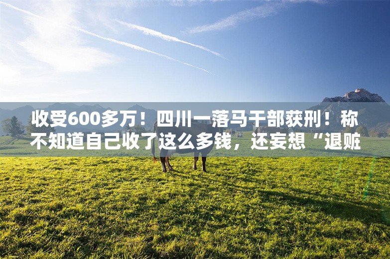 收受600多万！四川一落马干部获刑！称不知道自己收了这么多钱，还妄想“退赃保平安”