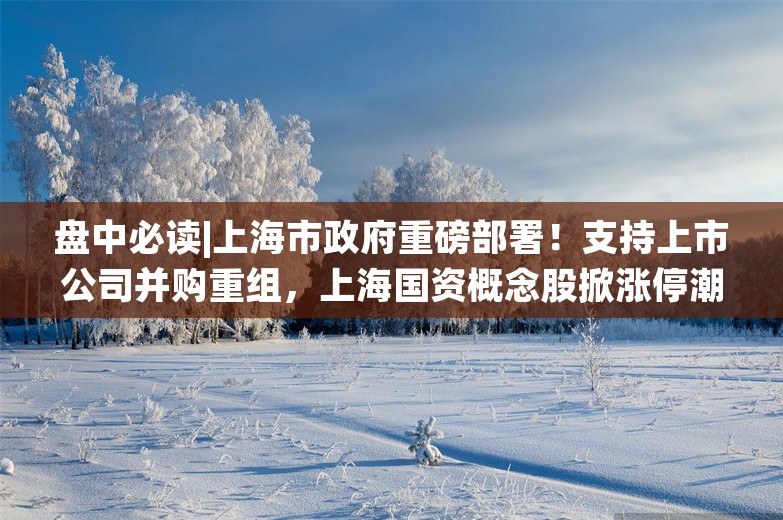 盘中必读|上海市政府重磅部署！支持上市公司并购重组，上海国资概念股掀涨停潮