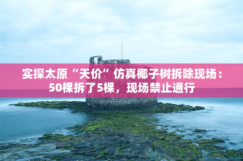 实探太原“天价”仿真椰子树拆除现场：50棵拆了5棵，现场禁止通行