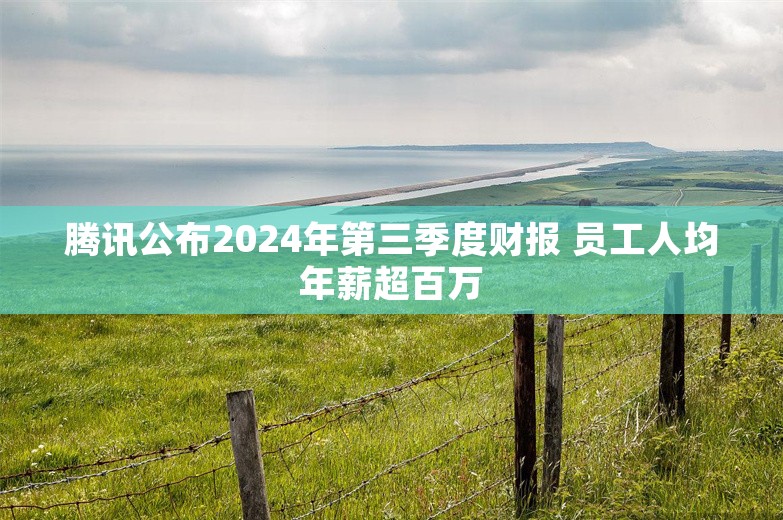 腾讯公布2024年第三季度财报 员工人均年薪超百万