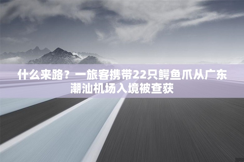 什么来路？一旅客携带22只鳄鱼爪从广东潮汕机场入境被查获