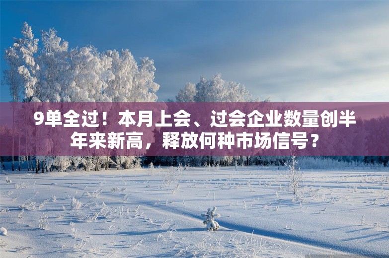 9单全过！本月上会、过会企业数量创半年来新高，释放何种市场信号？