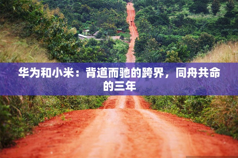 华为和小米：背道而驰的跨界，同舟共命的三年