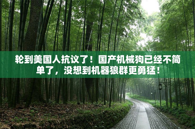 轮到美国人抗议了！国产机械狗已经不简单了，没想到机器狼群更勇猛！