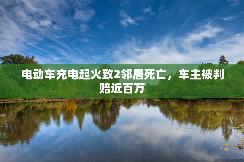 电动车充电起火致2邻居死亡，车主被判赔近百万