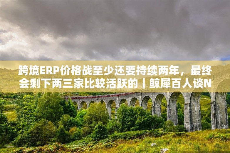 跨境ERP价格战至少还要持续两年，最终会剩下两三家比较活跃的｜鲸犀百人谈No.24