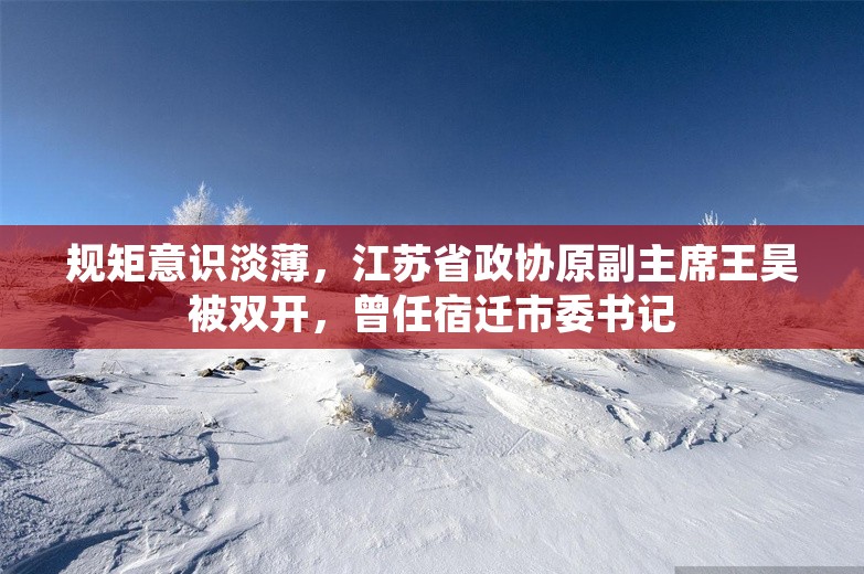 规矩意识淡薄，江苏省政协原副主席王昊被双开，曾任宿迁市委书记