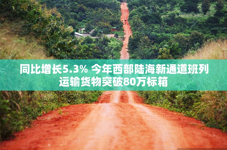 同比增长5.3% 今年西部陆海新通道班列运输货物突破80万标箱