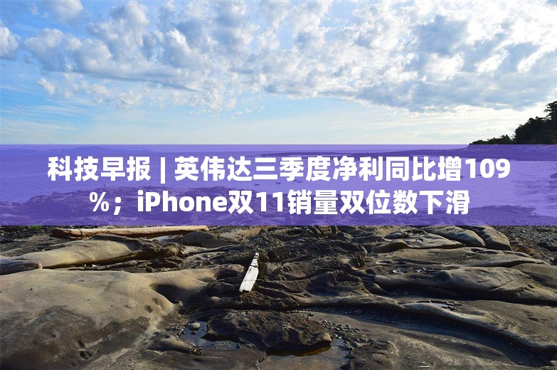 科技早报 | 英伟达三季度净利同比增109%；iPhone双11销量双位数下滑