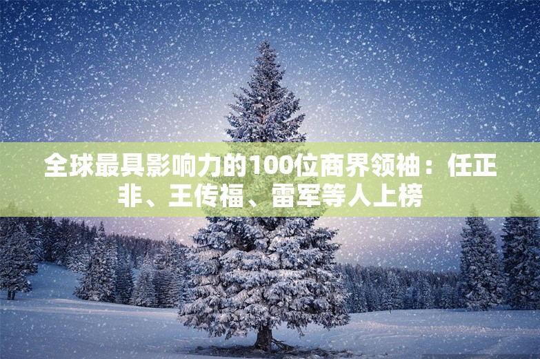 全球最具影响力的100位商界领袖：任正非、王传福、雷军等人上榜