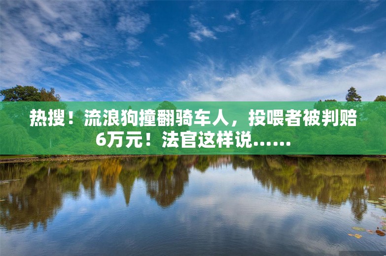 热搜！流浪狗撞翻骑车人，投喂者被判赔6万元！法官这样说……