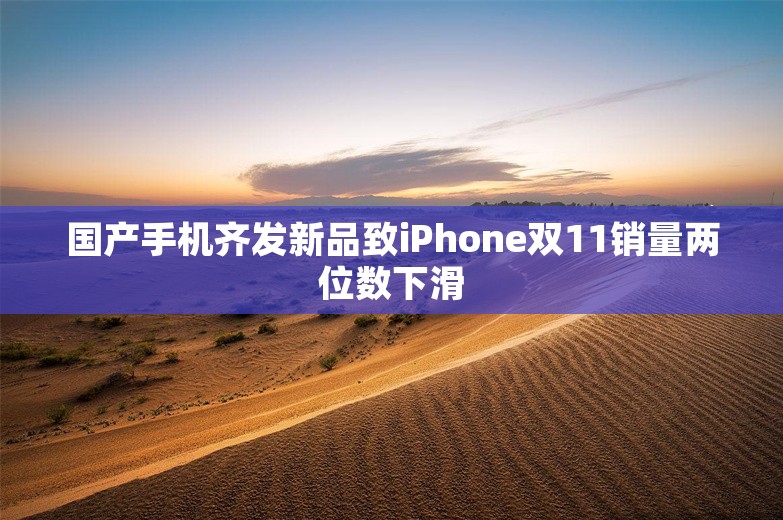 国产手机齐发新品致iPhone双11销量两位数下滑