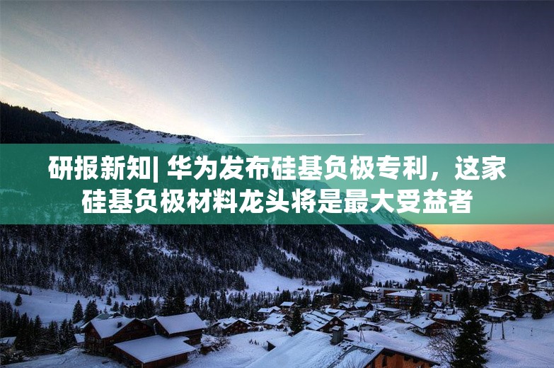 研报新知| 华为发布硅基负极专利，这家硅基负极材料龙头将是最大受益者