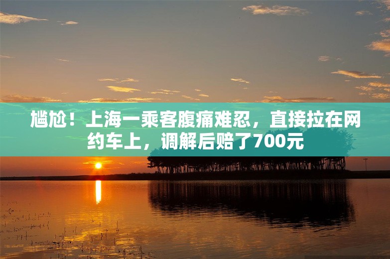 尴尬！上海一乘客腹痛难忍，直接拉在网约车上，调解后赔了700元