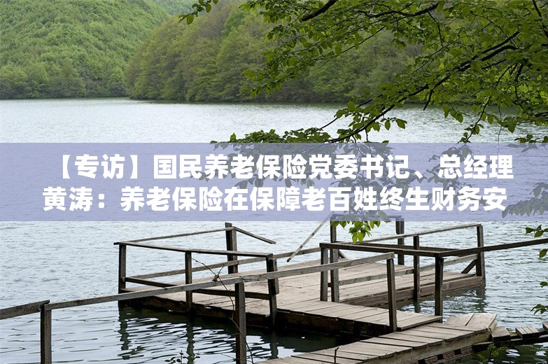 【专访】国民养老保险党委书记、总经理黄涛：养老保险在保障老百姓终生财务安全方面具有独特优势