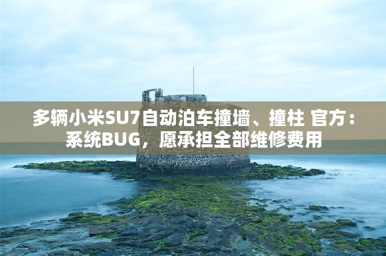 多辆小米SU7自动泊车撞墙、撞柱 官方：系统BUG，愿承担全部维修费用