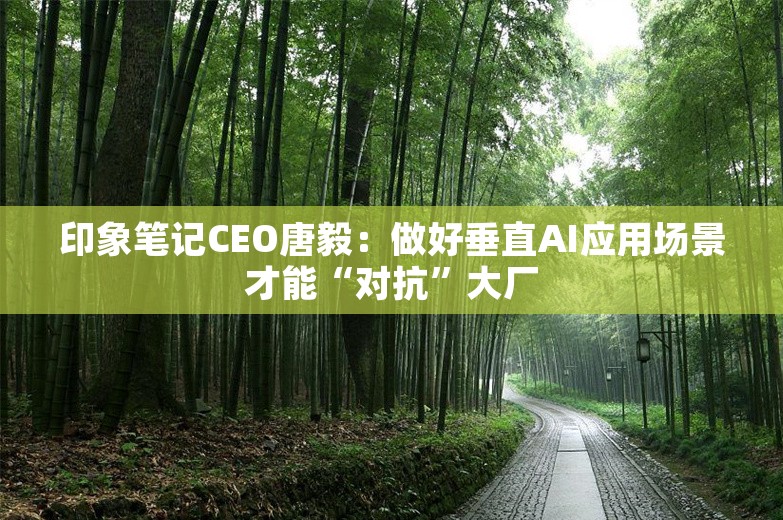 印象笔记CEO唐毅：做好垂直AI应用场景才能“对抗”大厂