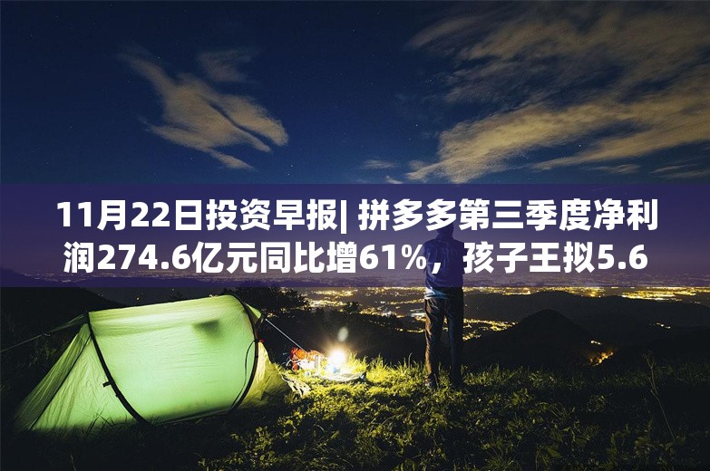 11月22日投资早报| 拼多多第三季度净利润274.6亿元同比增61%，孩子王拟5.6亿元收购乐友国际35%股权，今日一只新股申购