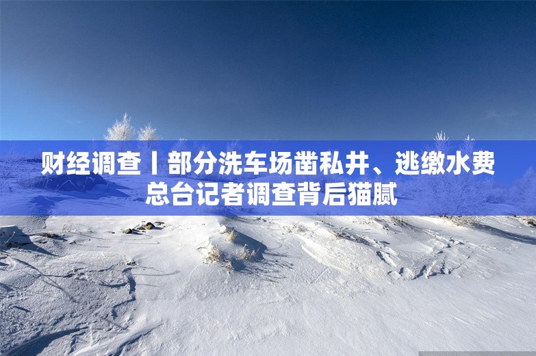 财经调查丨部分洗车场凿私井、逃缴水费 总台记者调查背后猫腻