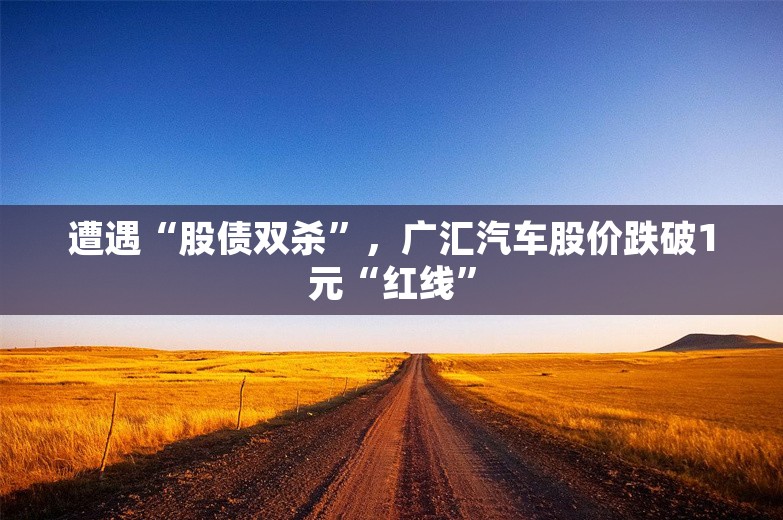 遭遇“股债双杀”，广汇汽车股价跌破1元“红线”