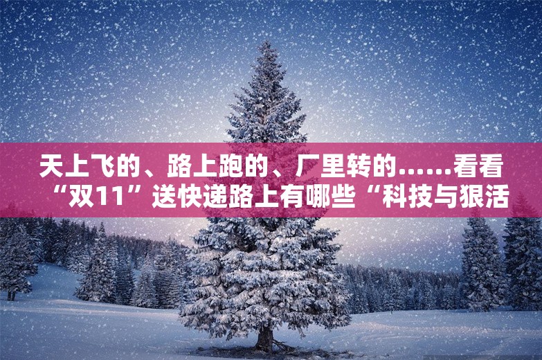 天上飞的、路上跑的、厂里转的……看看“双11”送快递路上有哪些“科技与狠活”