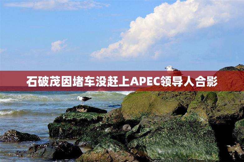 石破茂因堵车没赶上APEC领导人合影