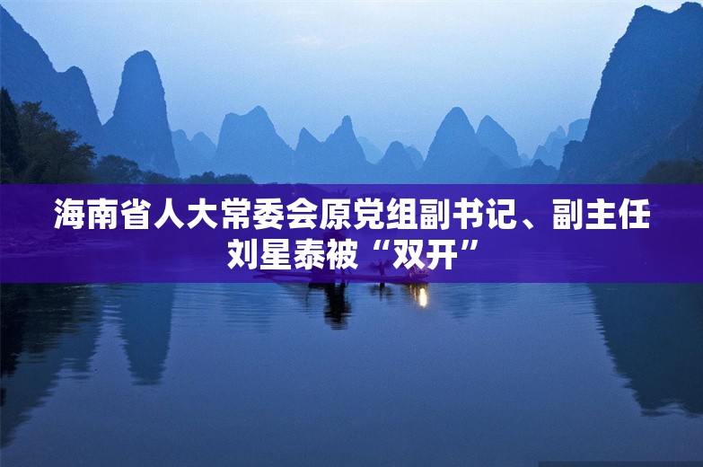 海南省人大常委会原党组副书记、副主任刘星泰被“双开”