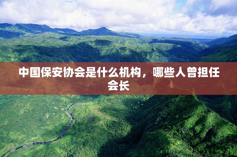 中国保安协会是什么机构，哪些人曾担任会长