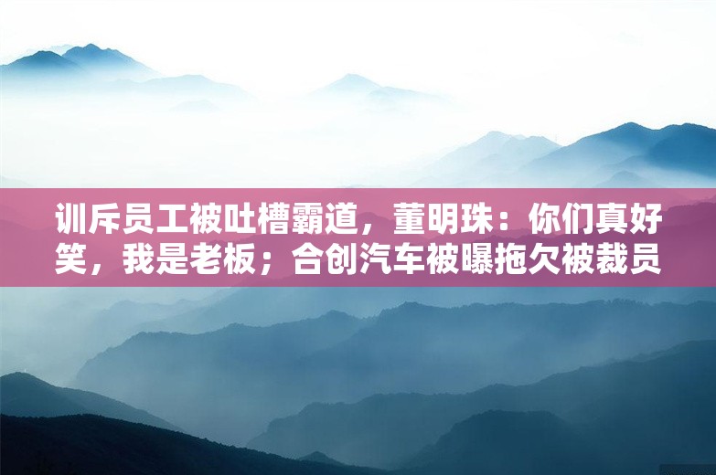 训斥员工被吐槽霸道，董明珠：你们真好笑，我是老板；合创汽车被曝拖欠被裁员工赔偿金；​国企董事长回应运营总监高中学历丨雷峰早报