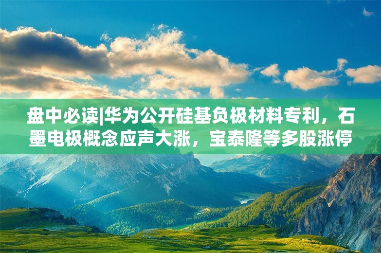 盘中必读|华为公开硅基负极材料专利，石墨电极概念应声大涨，宝泰隆等多股涨停