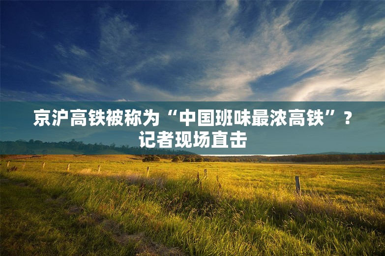 京沪高铁被称为“中国班味最浓高铁”？记者现场直击