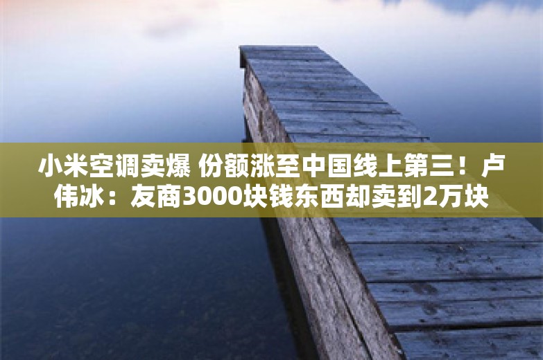 小米空调卖爆 份额涨至中国线上第三！卢伟冰：友商3000块钱东西却卖到2万块