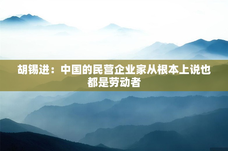 胡锡进：中国的民营企业家从根本上说也都是劳动者