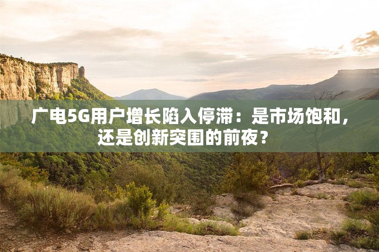 广电5G用户增长陷入停滞：是市场饱和，还是创新突围的前夜？ 