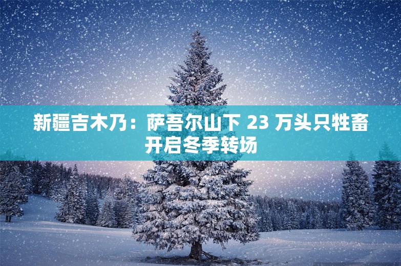 新疆吉木乃：萨吾尔山下 23 万头只牲畜开启冬季转场