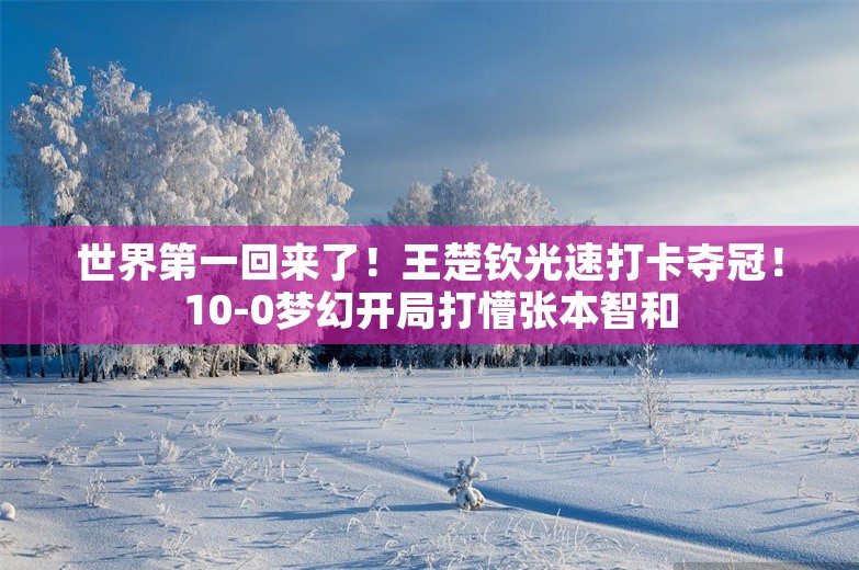 世界第一回来了！王楚钦光速打卡夺冠！10-0梦幻开局打懵张本智和