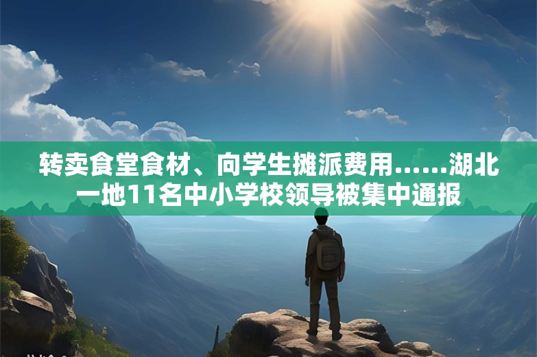 转卖食堂食材、向学生摊派费用……湖北一地11名中小学校领导被集中通报