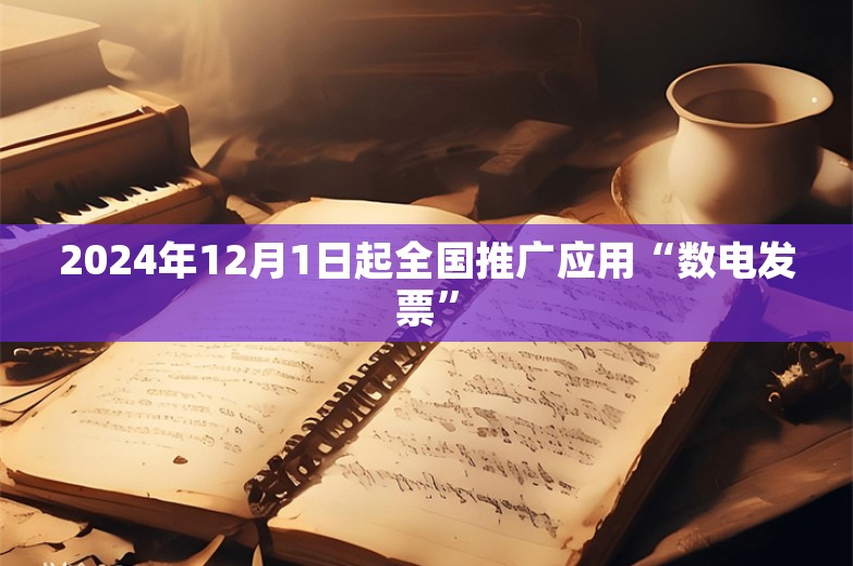 2024年12月1日起全国推广应用“数电发票”