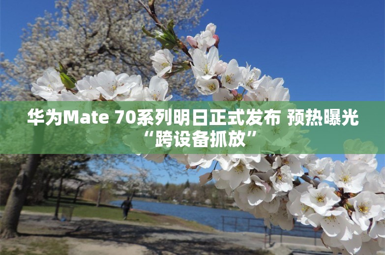 华为Mate 70系列明日正式发布 预热曝光“跨设备抓放”