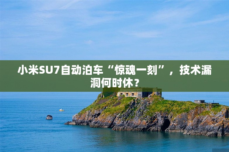 小米SU7自动泊车“惊魂一刻”，技术漏洞何时休？