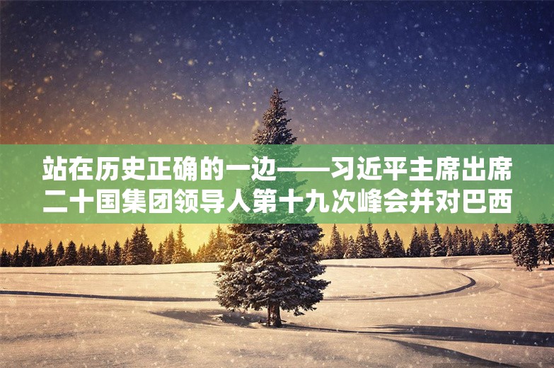 站在历史正确的一边——习近平主席出席二十国集团领导人第十九次峰会并对巴西进行国事访问纪实