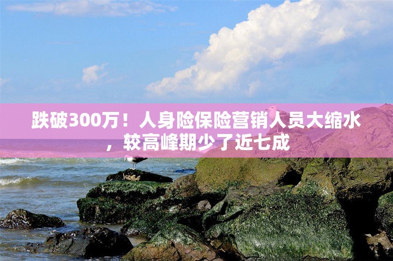 跌破300万！人身险保险营销人员大缩水，较高峰期少了近七成