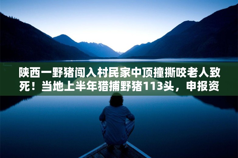 陕西一野猪闯入村民家中顶撞撕咬老人致死！当地上半年猎捕野猪113头，申报资金535万