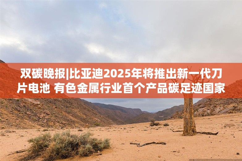 双碳晚报|比亚迪2025年将推出新一代刀片电池 有色金属行业首个产品碳足迹国家标准发布