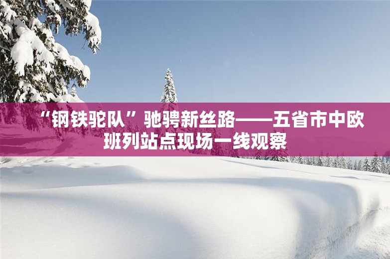 “钢铁驼队”驰骋新丝路——五省市中欧班列站点现场一线观察