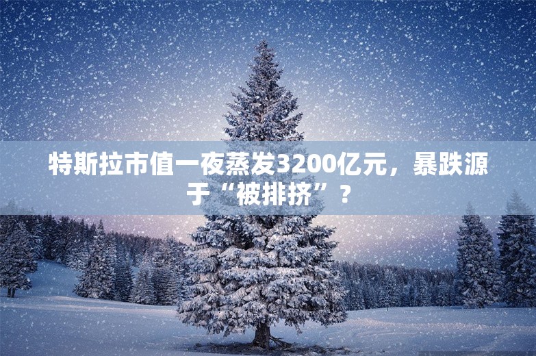 特斯拉市值一夜蒸发3200亿元，暴跌源于“被排挤”？