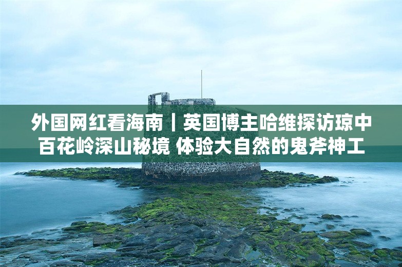 外国网红看海南｜英国博主哈维探访琼中百花岭深山秘境 体验大自然的鬼斧神工