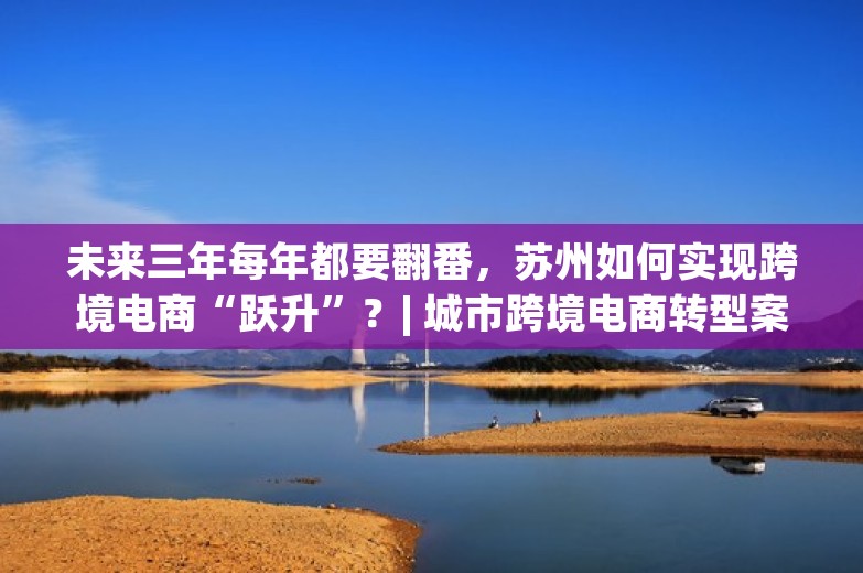 未来三年每年都要翻番，苏州如何实现跨境电商“跃升”？| 城市跨境电商转型案例库⑭