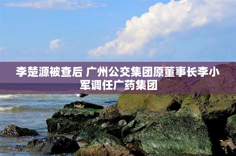 李楚源被查后 广州公交集团原董事长李小军调任广药集团