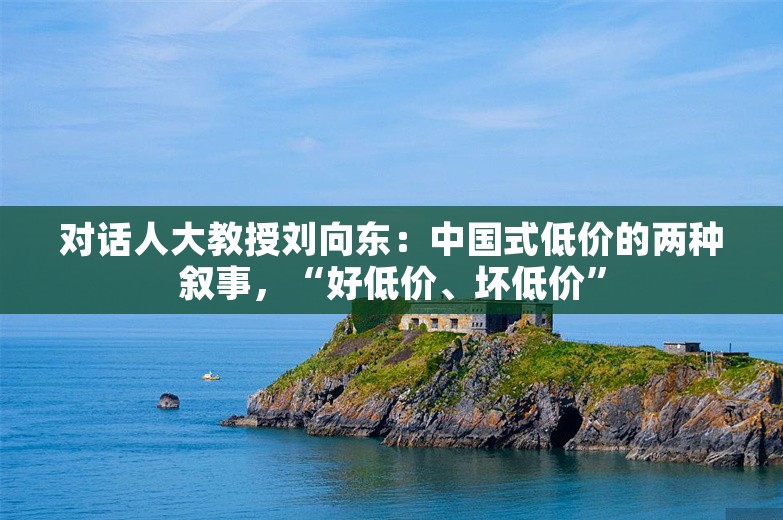 对话人大教授刘向东：中国式低价的两种叙事，“好低价、坏低价”